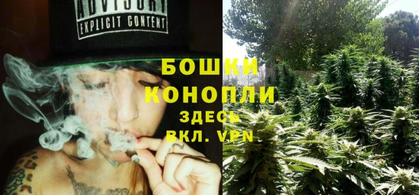 2c-b Горняк