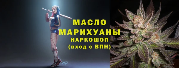 2c-b Горняк