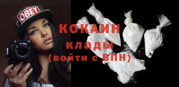 ПСИЛОЦИБИНОВЫЕ ГРИБЫ Горно-Алтайск