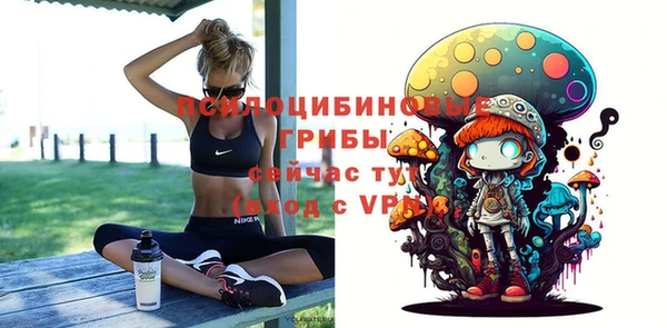 шишки Тихвин