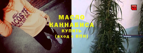 2c-b Горняк